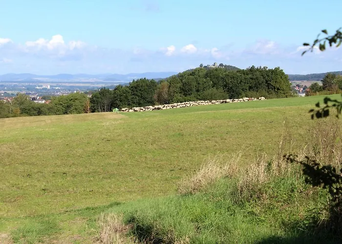 Stellberg Apartment Homberg (Schwalm-Eder)
